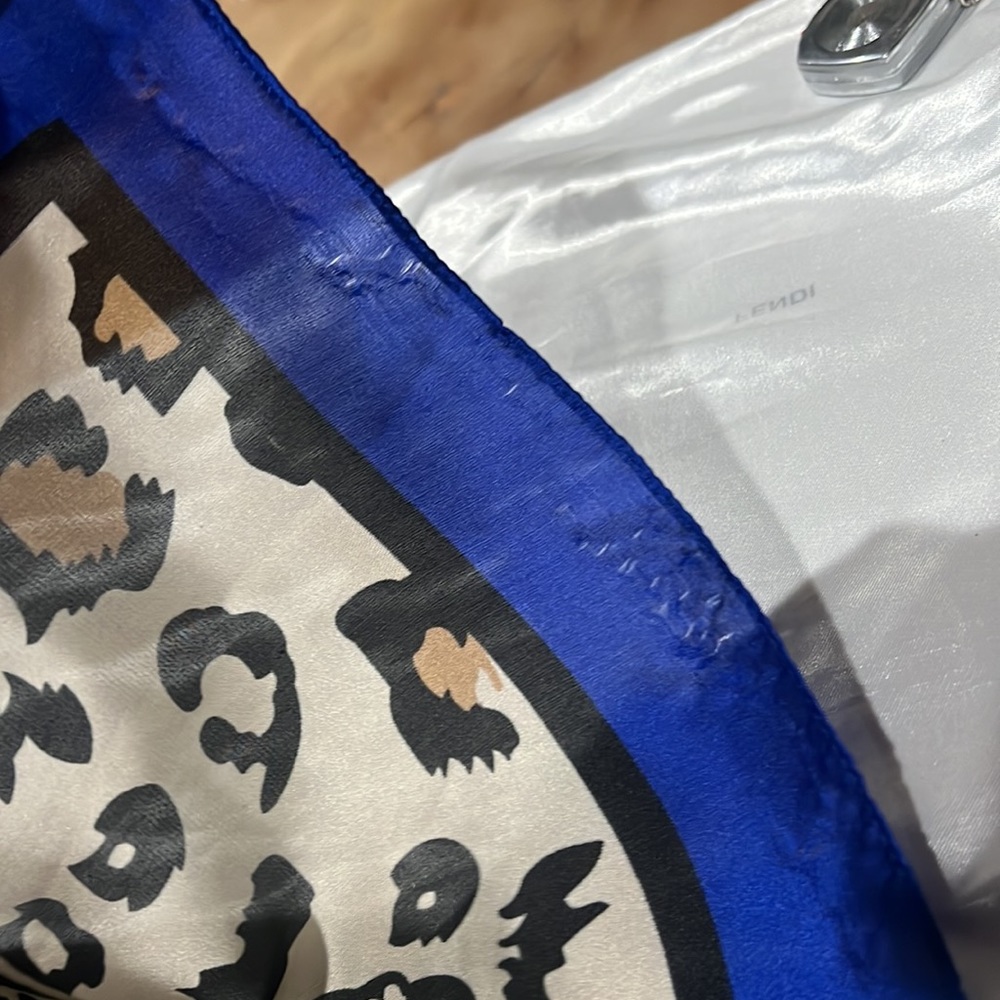 Silk Scarf - Picture 8 of 10